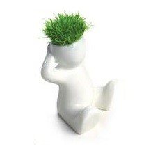 Petites Têtes à Gazon (8 pcs)