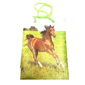 SACS D'EMBALLAGE ANIMAUX MIX - 12x17,5 (12 pcs)