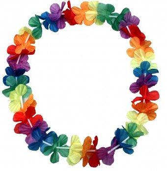 Colliers Hawaïens (48 pcs.)