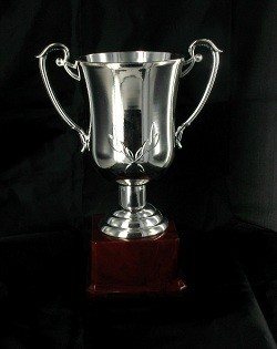 Coupe Argentée - Grande (23 cm)