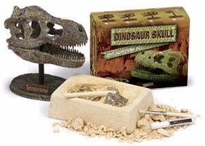 Kit d'Excavation Cr&acirc;ne de Dinosaure (12 pcs)