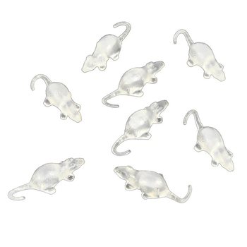 8 SOURIS TRANSPARENTES EN FILET (12 filets)