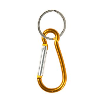 PORTE-CL&Eacute;S MOUSQUETON (48 pcs)