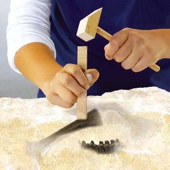 Kit d'Excavation SES Explore T-Rex (1 pc.)