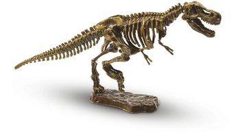 Kit d'Excavation SES Explore T-Rex (1 pc.)