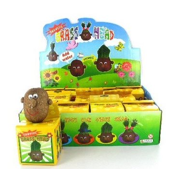 Têtes à gazon en présentoir (12 pcs.)