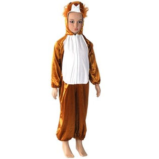 D&eacute;guisement de Lion pour Enfants &ndash; Taille 6