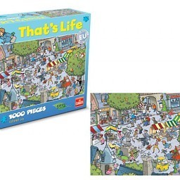 Puzzle That&rsquo;s Life - Village, 1000 pi&egrave;ces (1 pce)