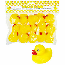 1666080919